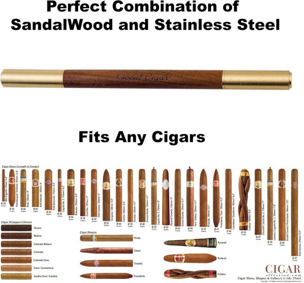 Puro Delici ve Tutucu İğne - Görsel 3